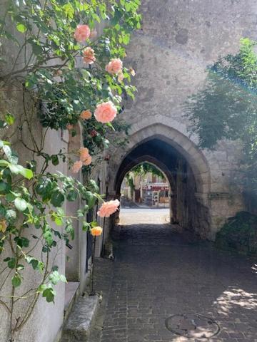 Maison Jeanne D'Arc Mennetou-sur-Cher ภายนอก รูปภาพ